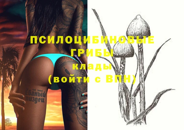 бошки Абинск