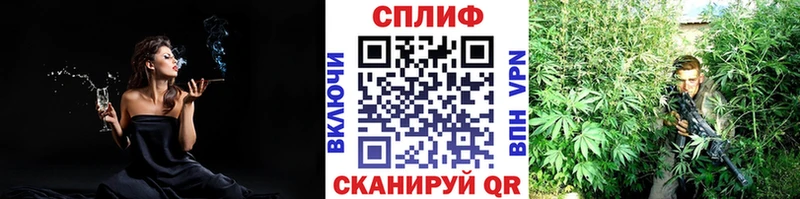 Бошки Шишки VHQ  MEGA зеркало  Агрыз 